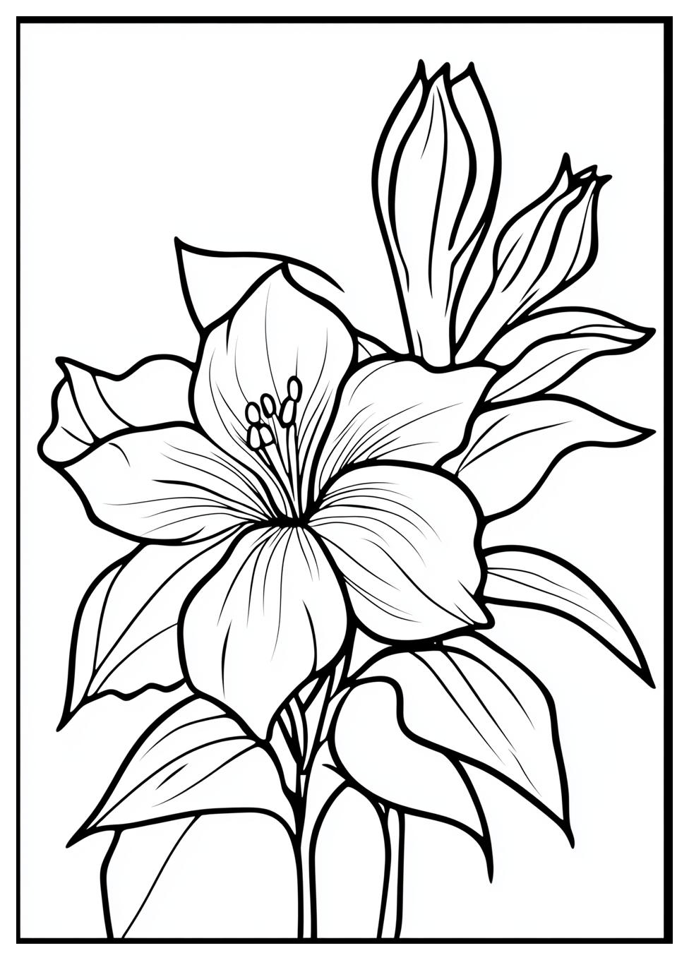 square_coloring_pages_14