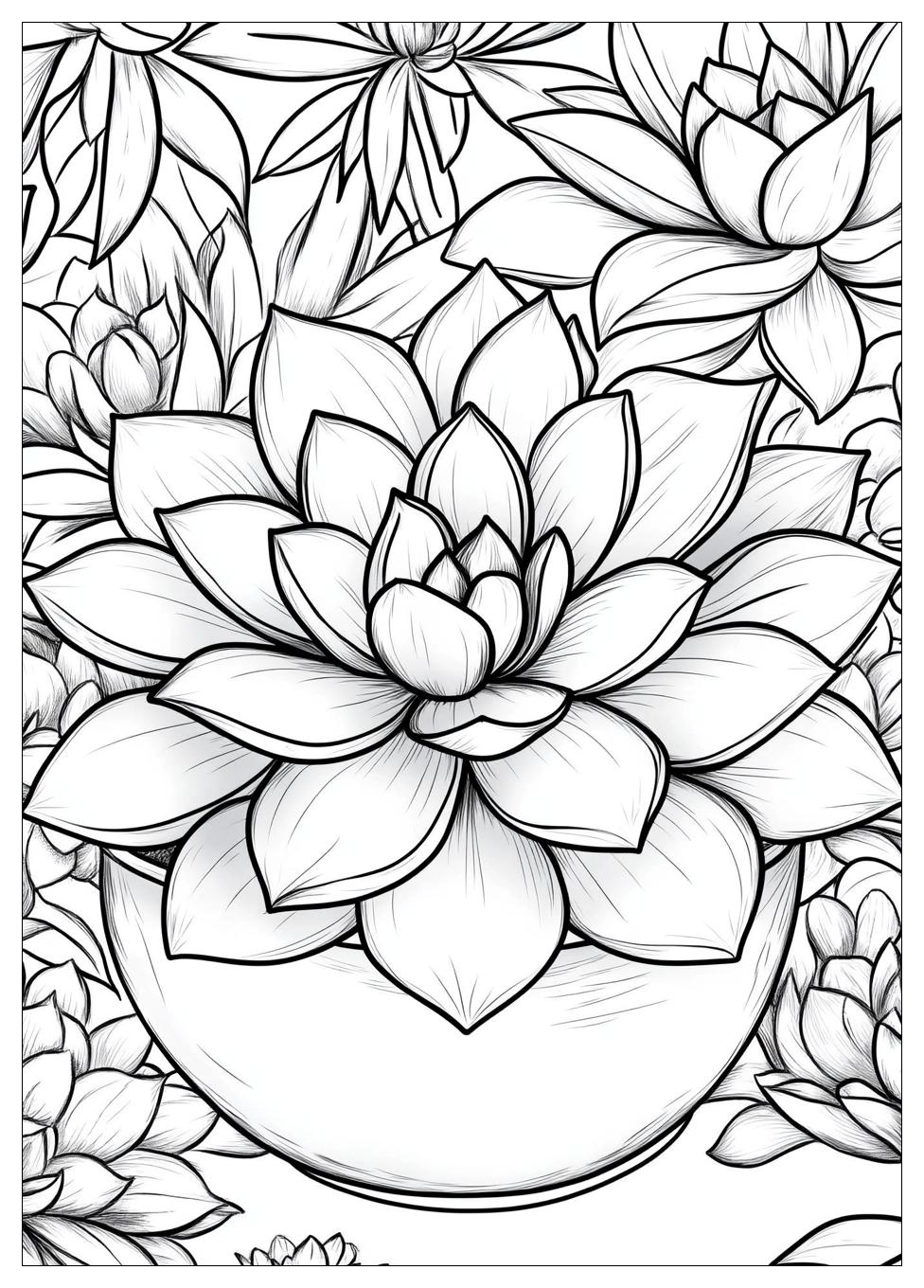 succulent_coloring_pages_1