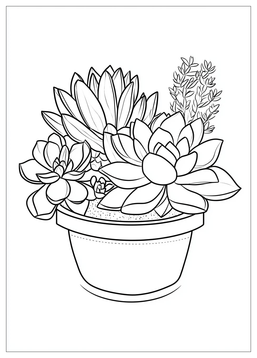 succulent_coloring_pages_11