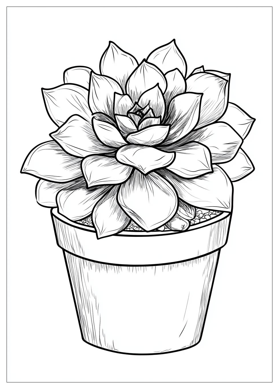 succulent_coloring_pages_12
