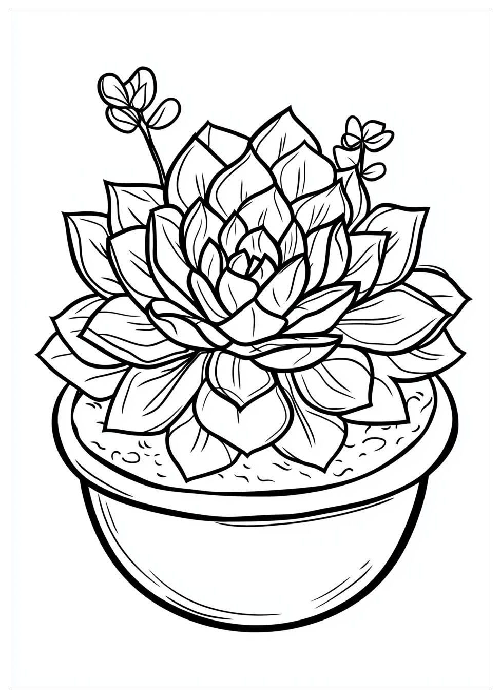 succulent_coloring_pages_13