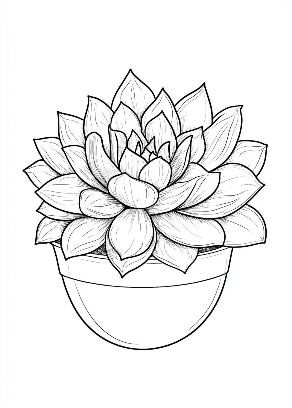 succulent_coloring_pages_14