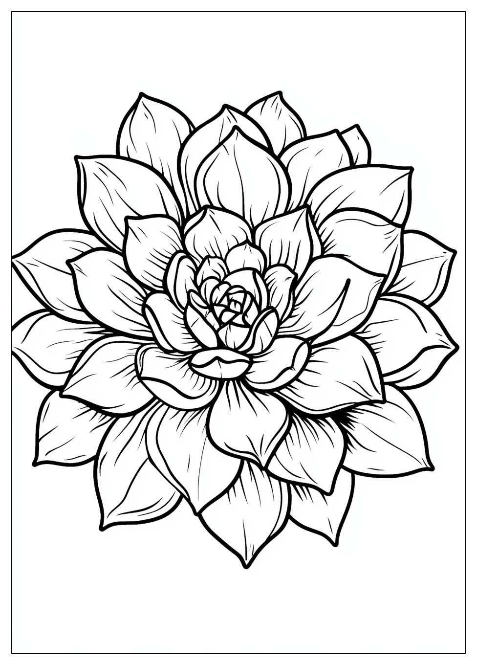succulent_coloring_pages_16