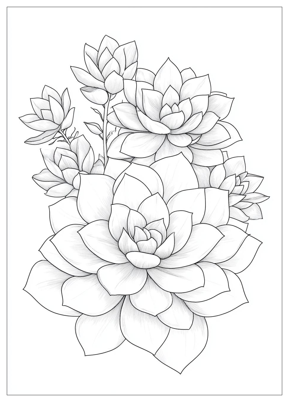 succulent_coloring_pages_19