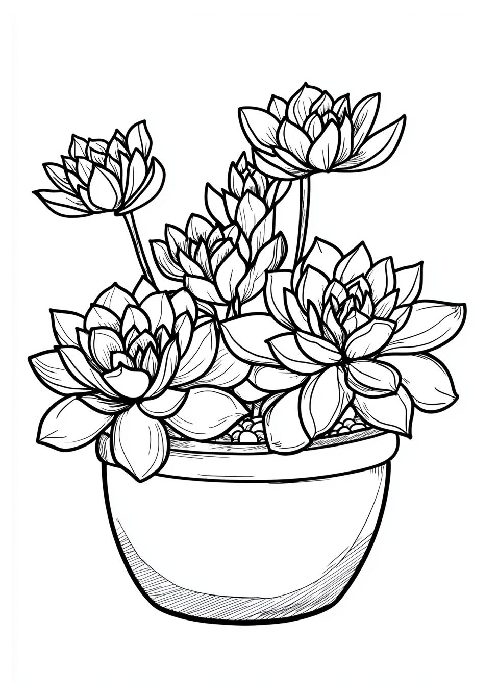 succulent_coloring_pages_2