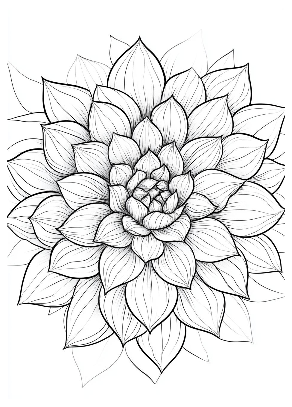 succulent_coloring_pages_21