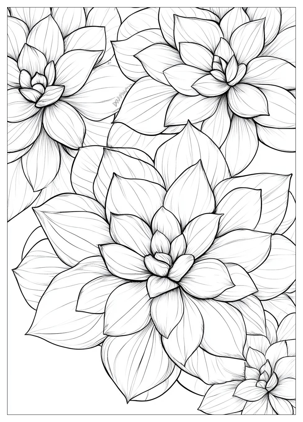 succulent_coloring_pages_22