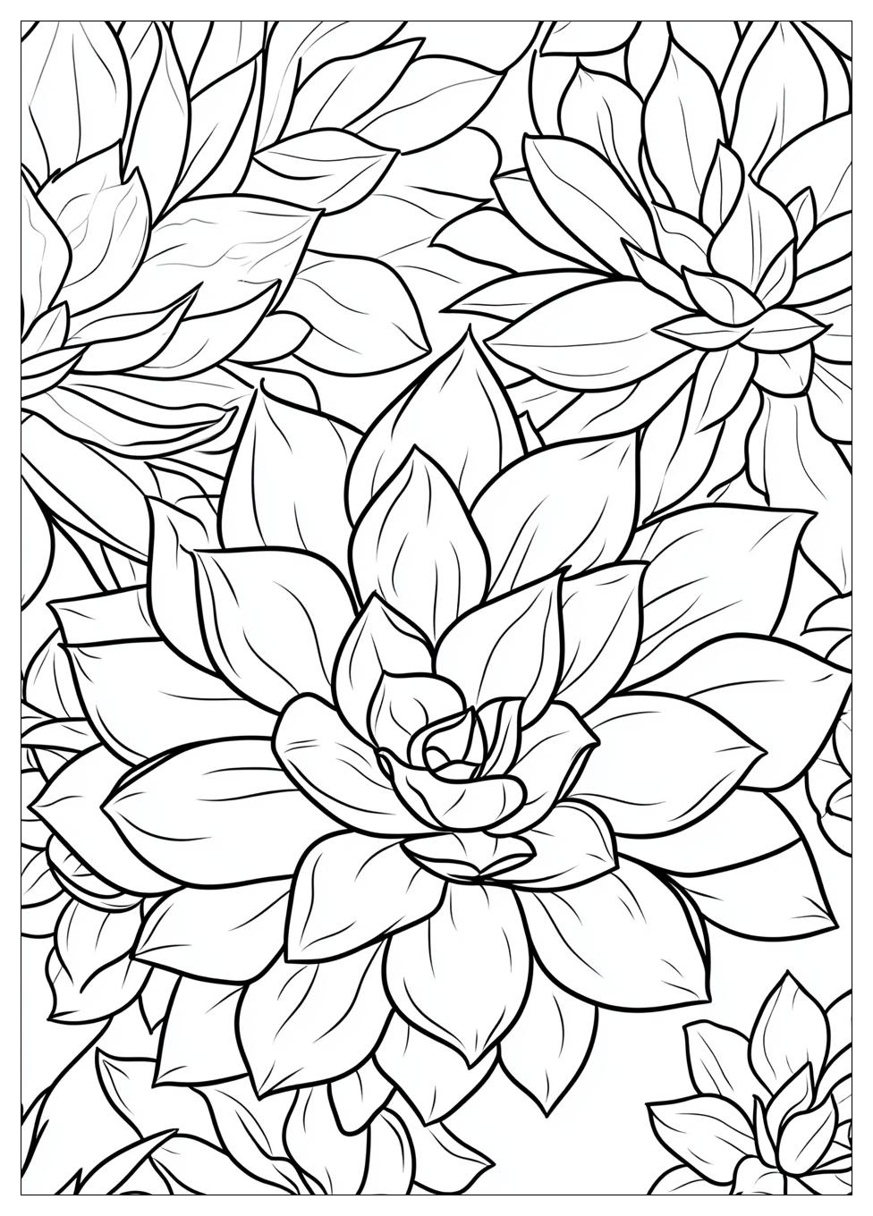 succulent_coloring_pages_23
