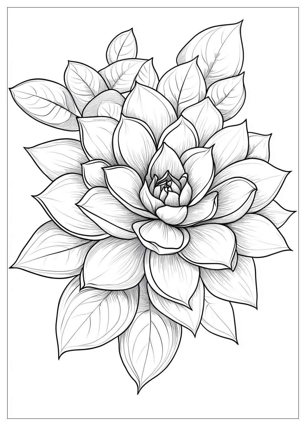 succulent_coloring_pages_24