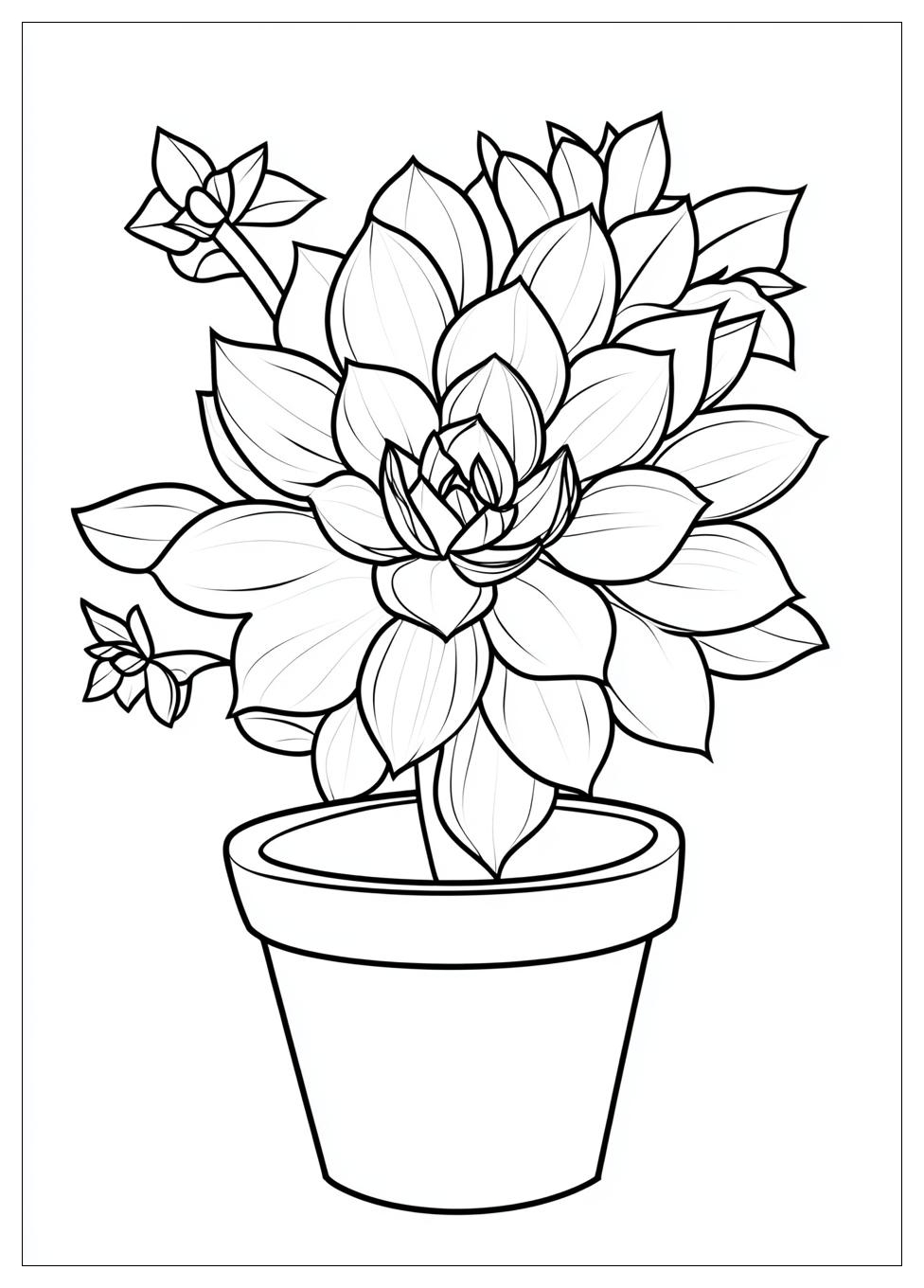 succulent_coloring_pages_3