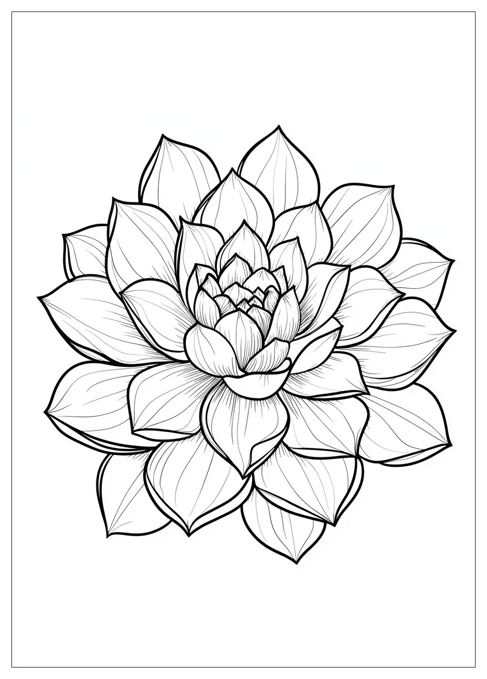 succulent_coloring_pages_4