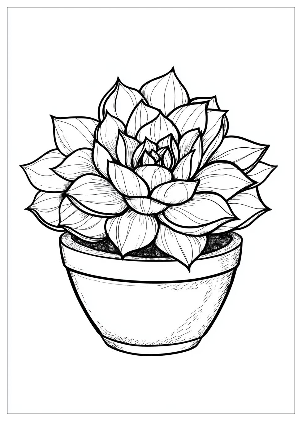 succulent_coloring_pages_5