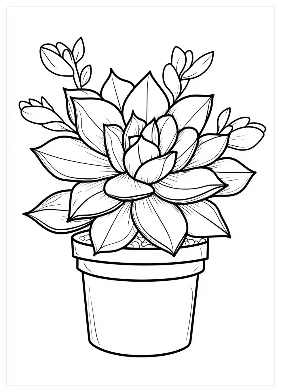 succulent_coloring_pages_6