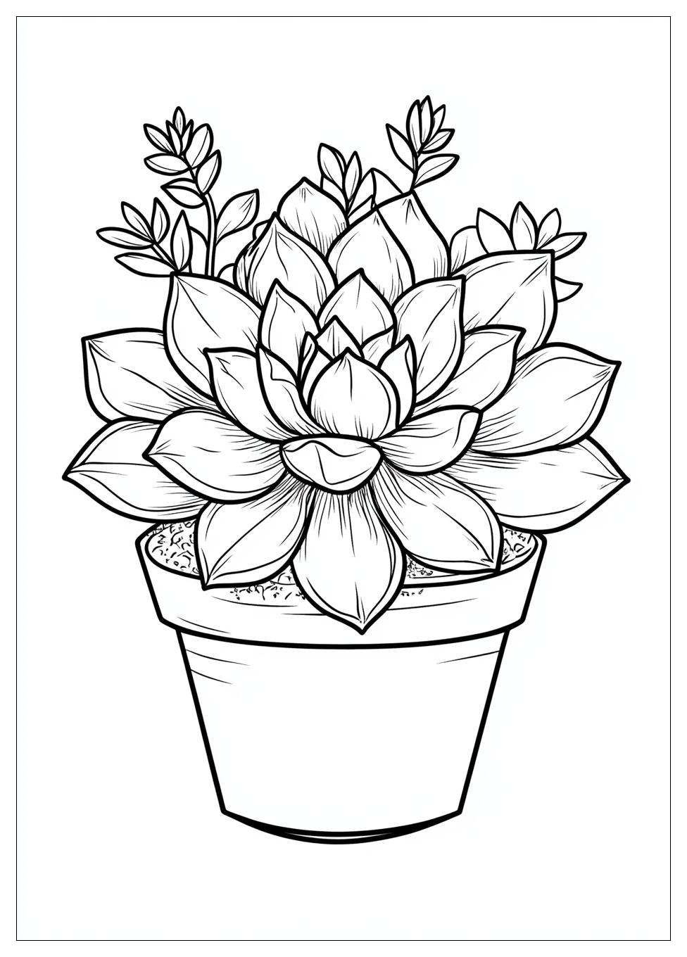 succulent_coloring_pages_7