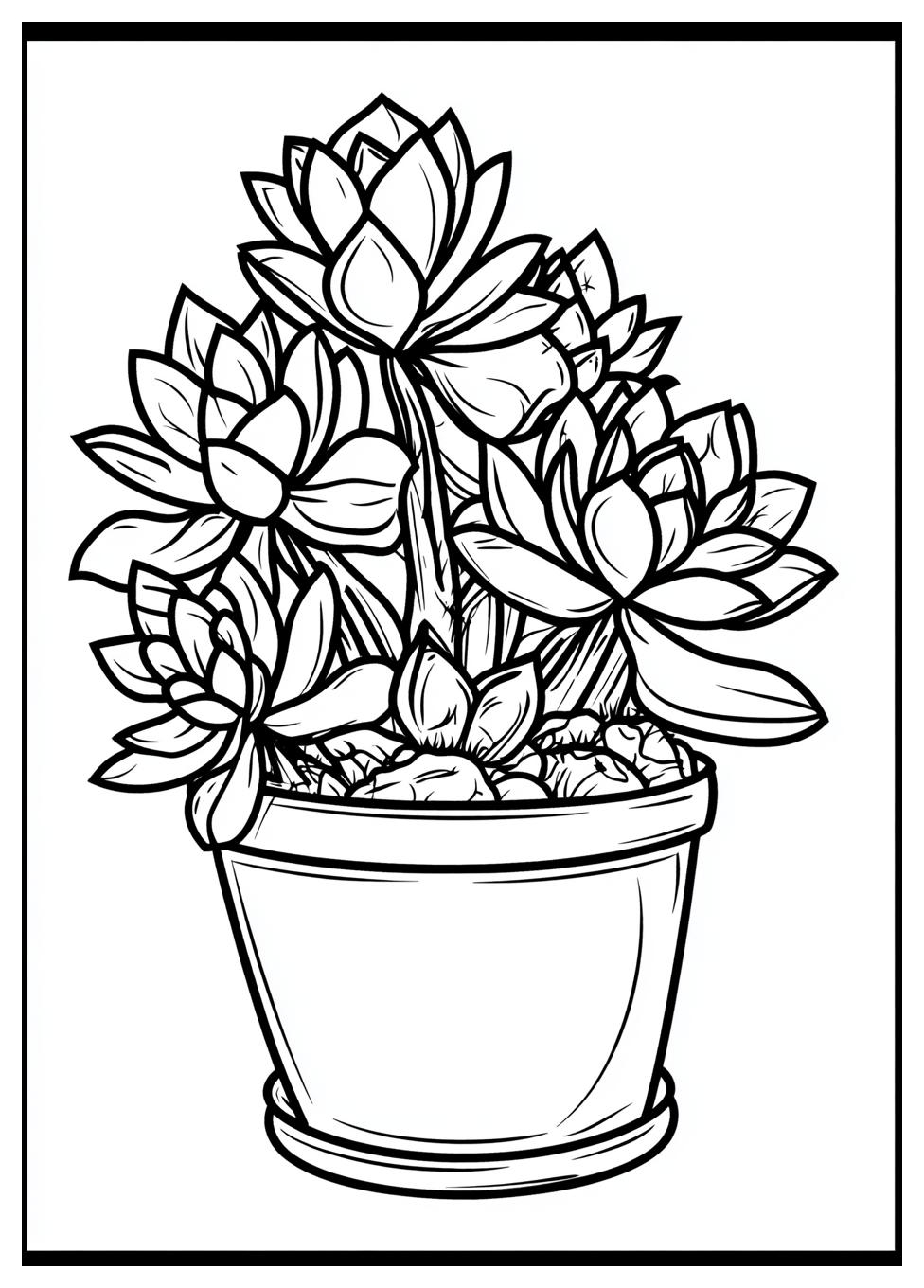 succulent_coloring_pages_8