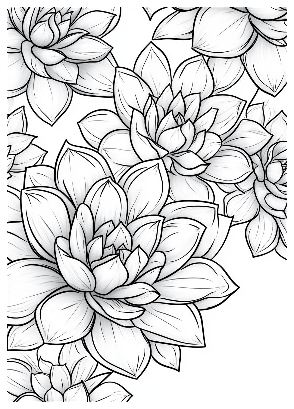 succulent_coloring_pages_9