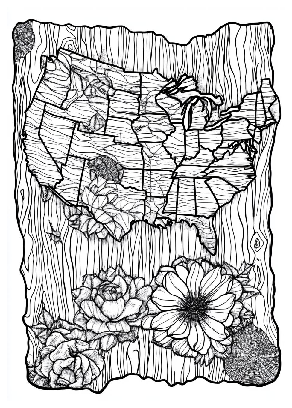 usa_map_coloring_pages_21