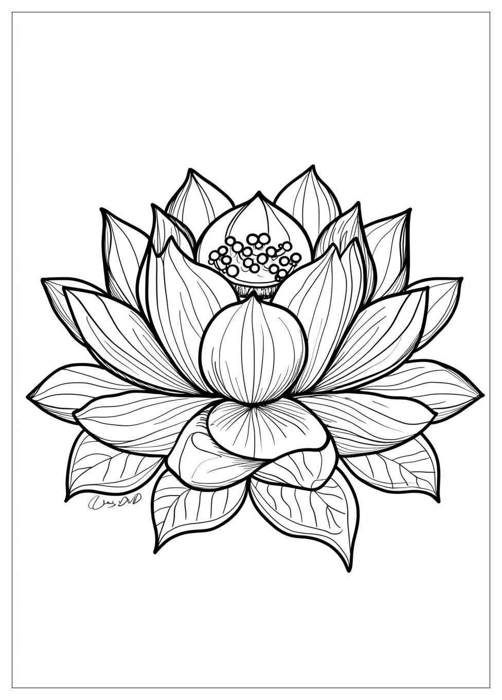 zentangle_coloring_pages_5